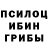 Галлюциногенные грибы Cubensis kazakez 95