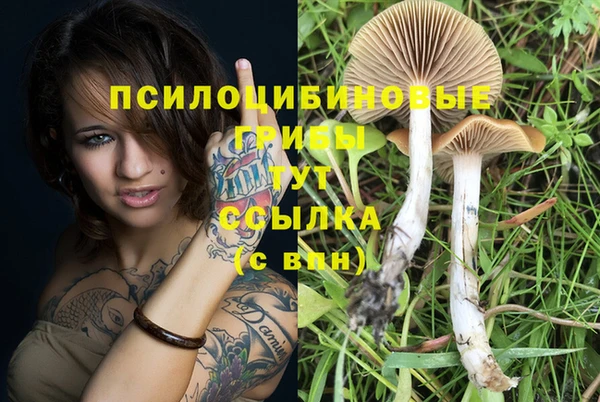 apvp Кущёвская
