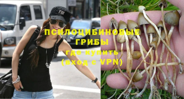 apvp Кущёвская
