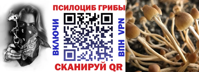 Галлюциногенные грибы Psilocybine cubensis  Александров 