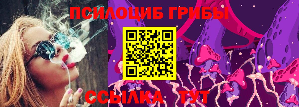 Псилоцибиновые грибы ЛСД  Вход с VPN  что такое наркотик  Александров 